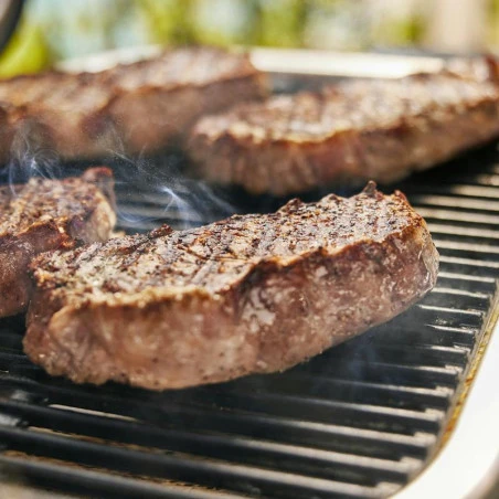 Barbecue Electrique Lumin Compact Sur Stand - Black - WEBER – Image 10