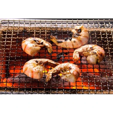 Barbecue Japonais Konro Stove 54 X 23 X 20 Cm BQ8WF – Image 5